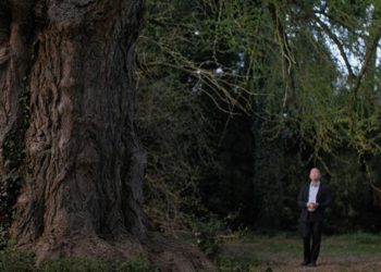 ‘Silent Friend’ Review: A Mesmerizing Reflection On Humans, Plants & How We Might Communicate – Venice Film Festival