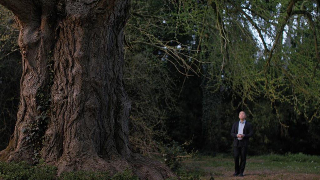 ‘Silent Friend’ Review: A Mesmerizing Reflection On Humans, Plants & How We Might Communicate – Venice Film Festival