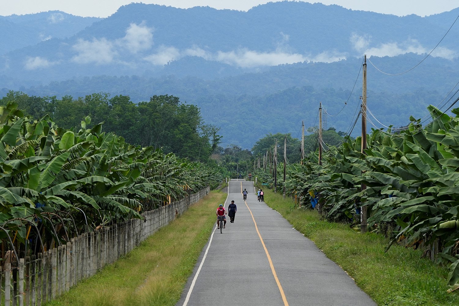 A sweeping view shows a few people traveling by foot or bike on a highway. Mountains are in the distance with trees on either side.