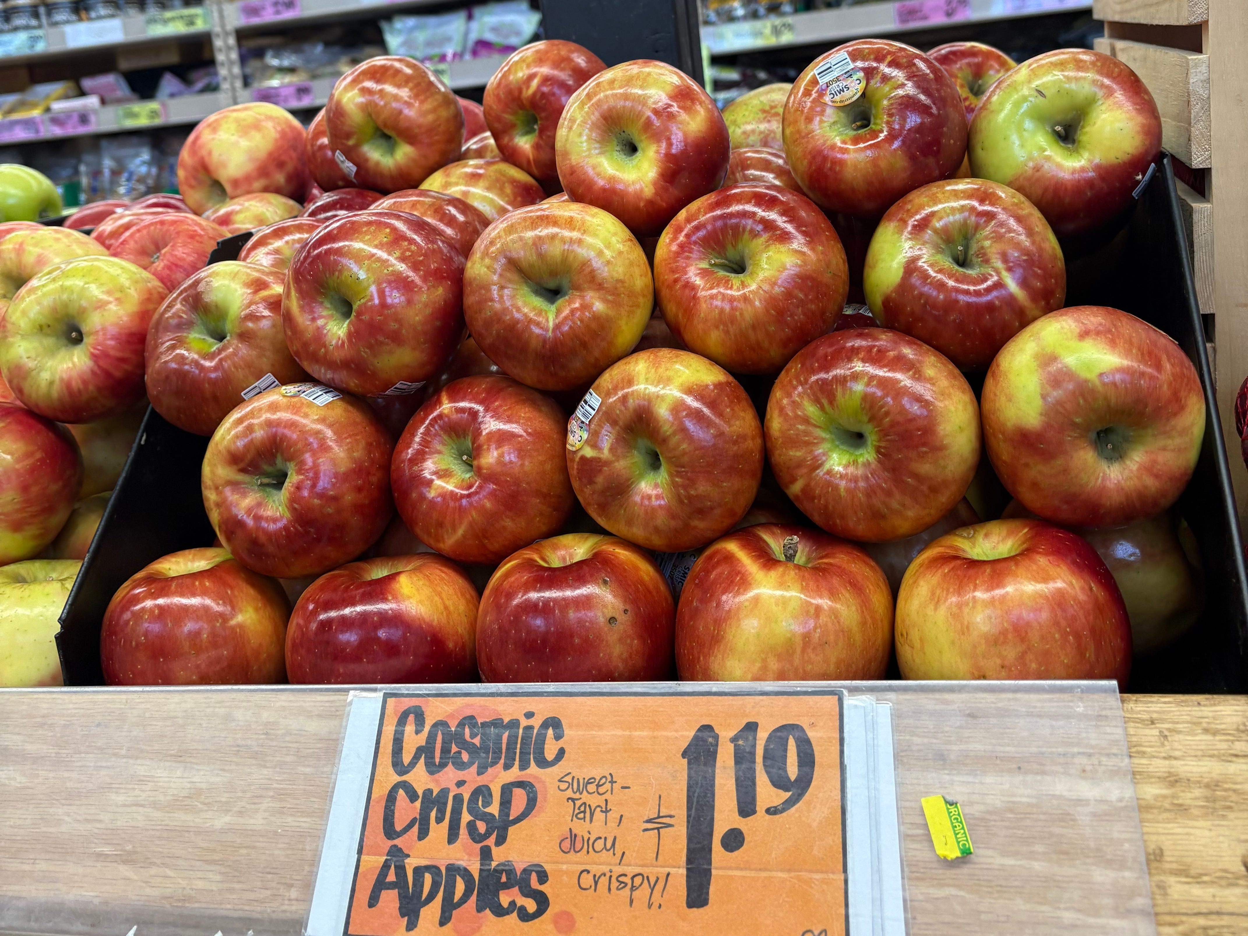 A display of Cosmic Crisp Apples at Trader Joe's for $1.19 each.