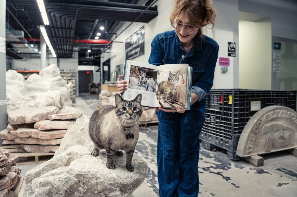 Woman holding open a book showing photos of a cat, with a cat sitting on a rock beside her.