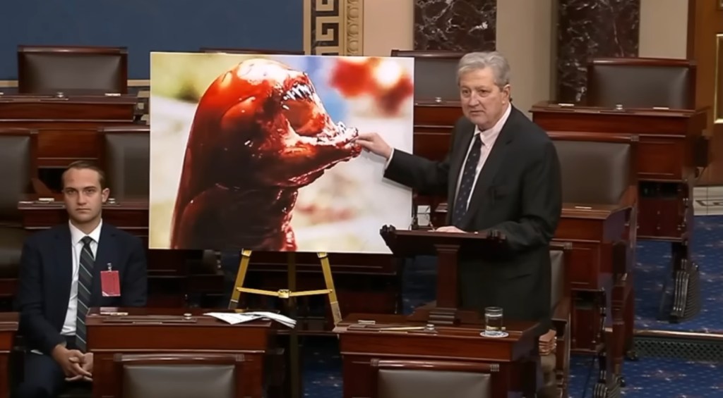 Man presenting a graphic of a creature during a congressional hearing.