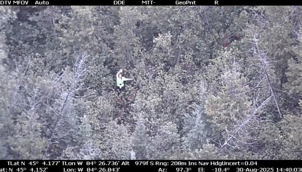 Aerial view of a person signaling for help in a forest.