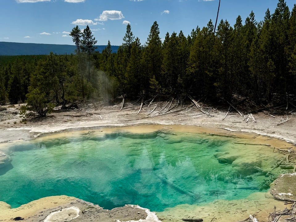 Steaming hot spring in Yellowstone