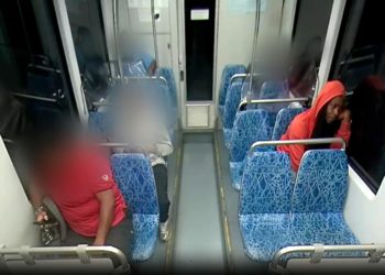 ‘Heartbroken’: Woman stabbed to death while riding light rail train