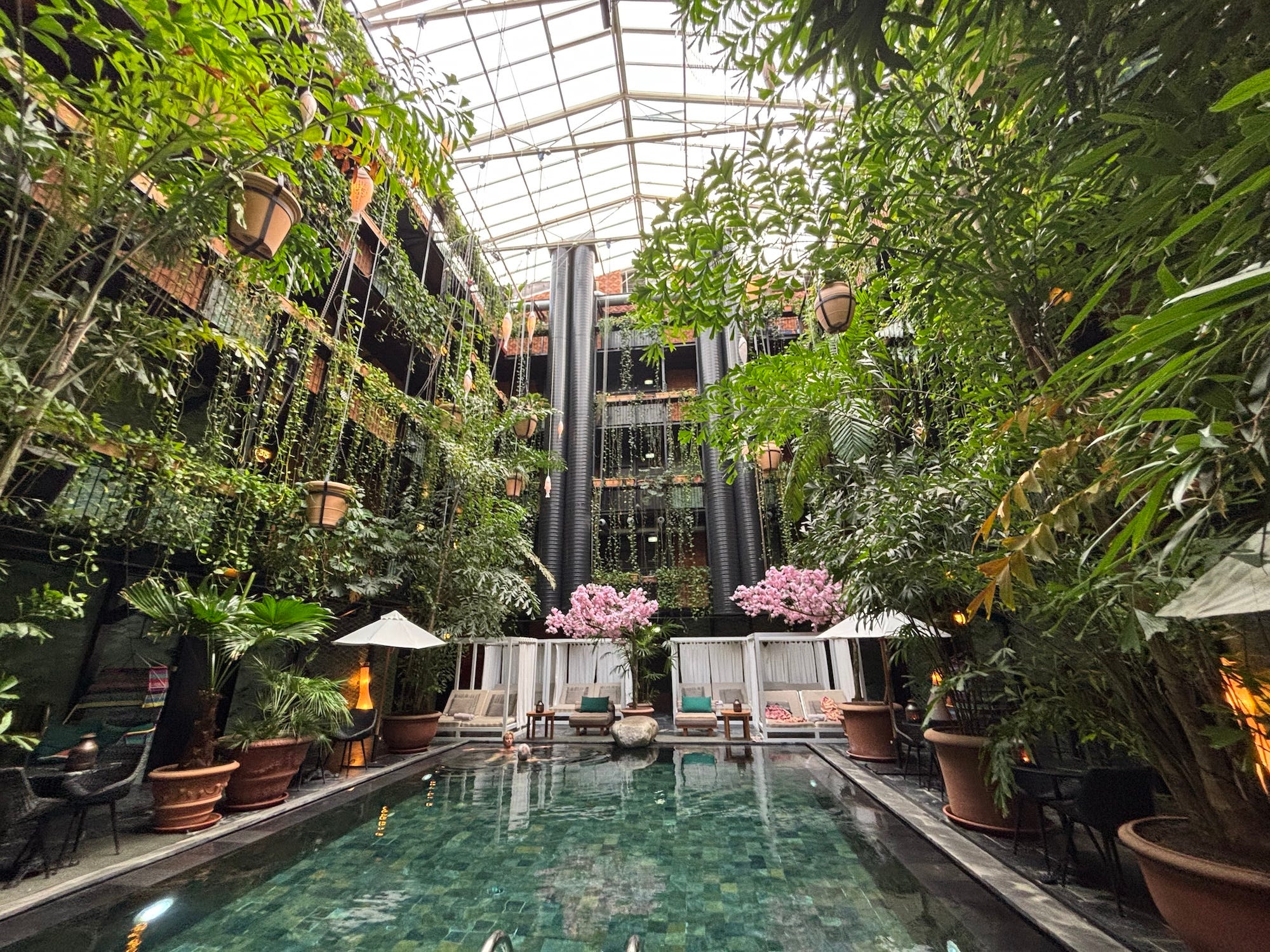 A pool surrounded by greenery and cabana chairs.