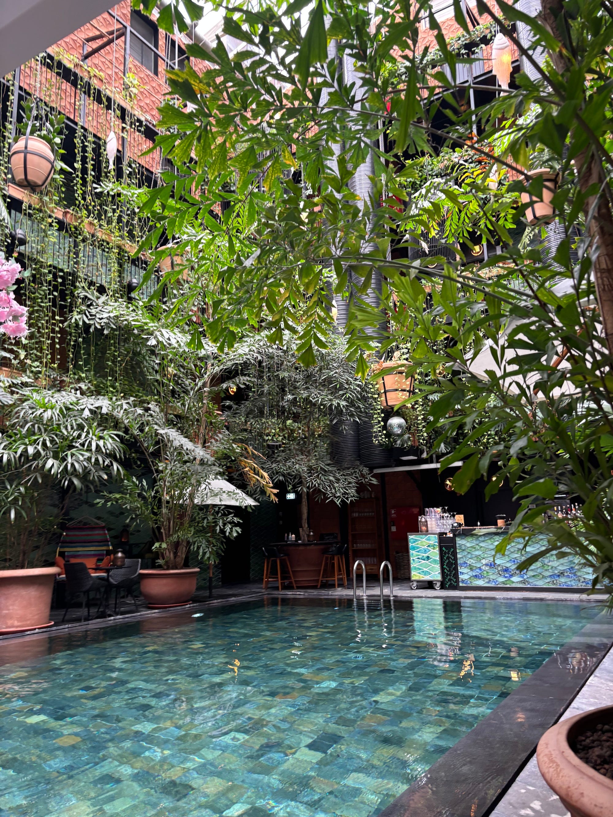 A pool with blue tiles surrounded by lush greenery.