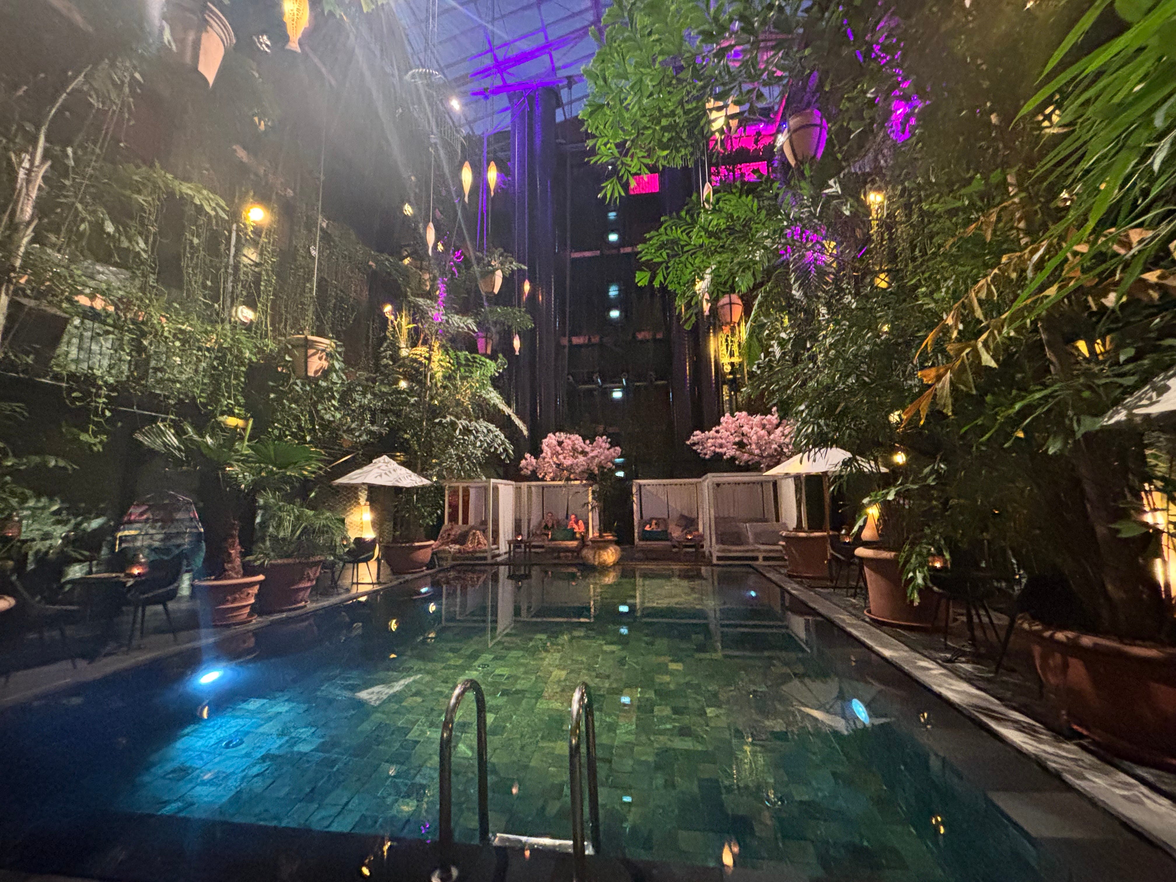 An indoor pool surrounded by greenery at night.