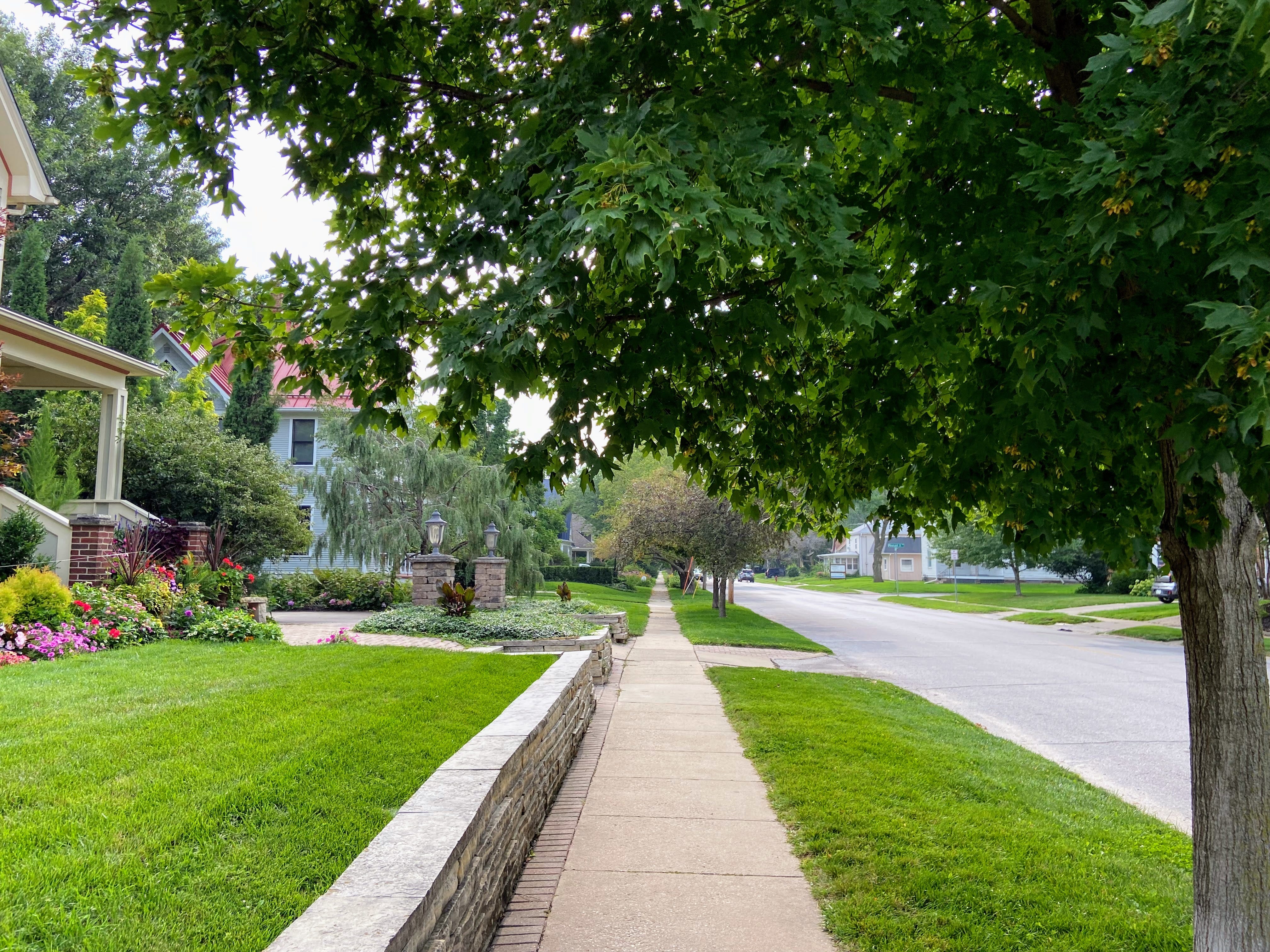 Tree-lined neighborhood in Iowa City