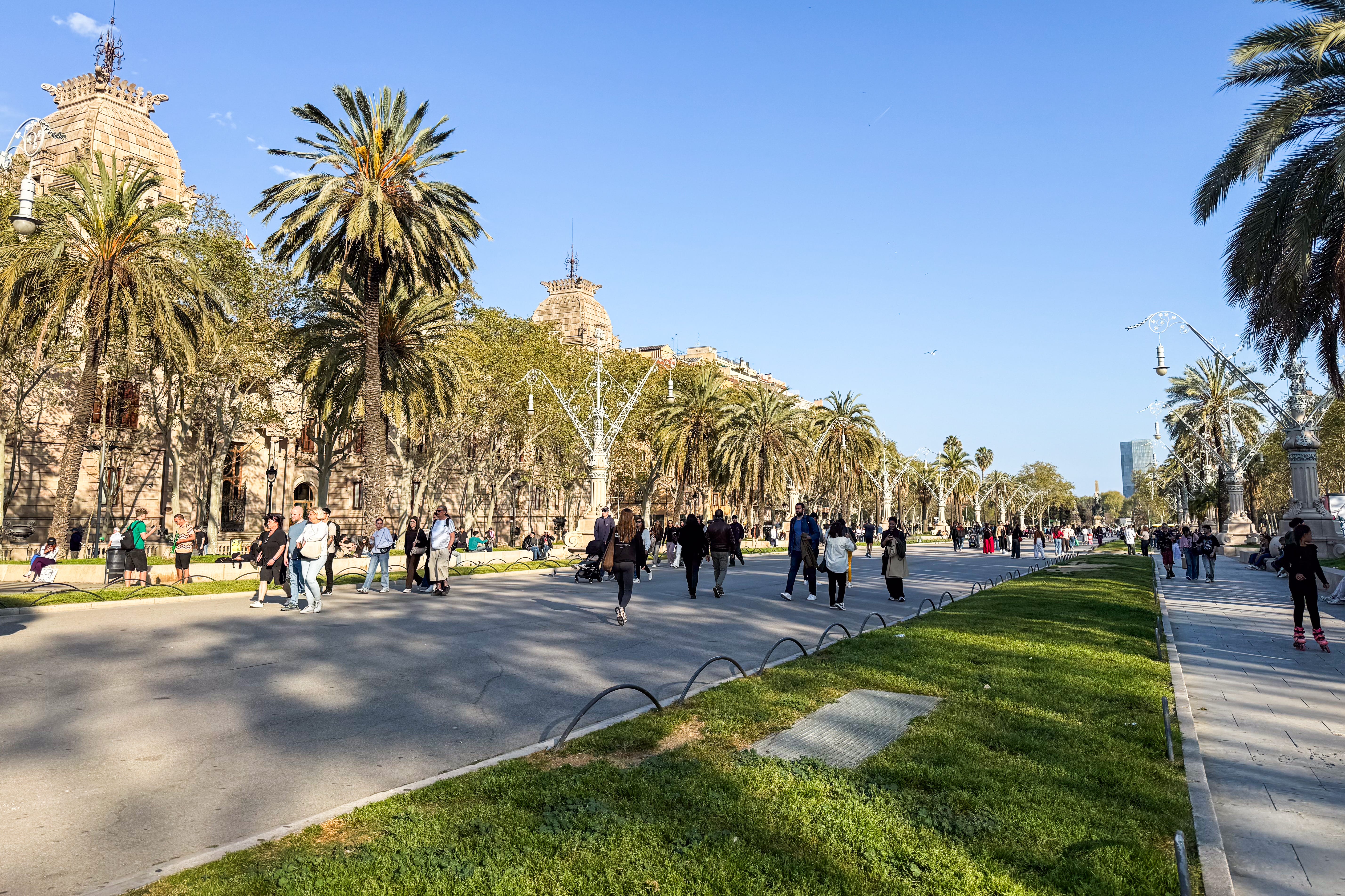 Tree-lined walkway in Barcelona