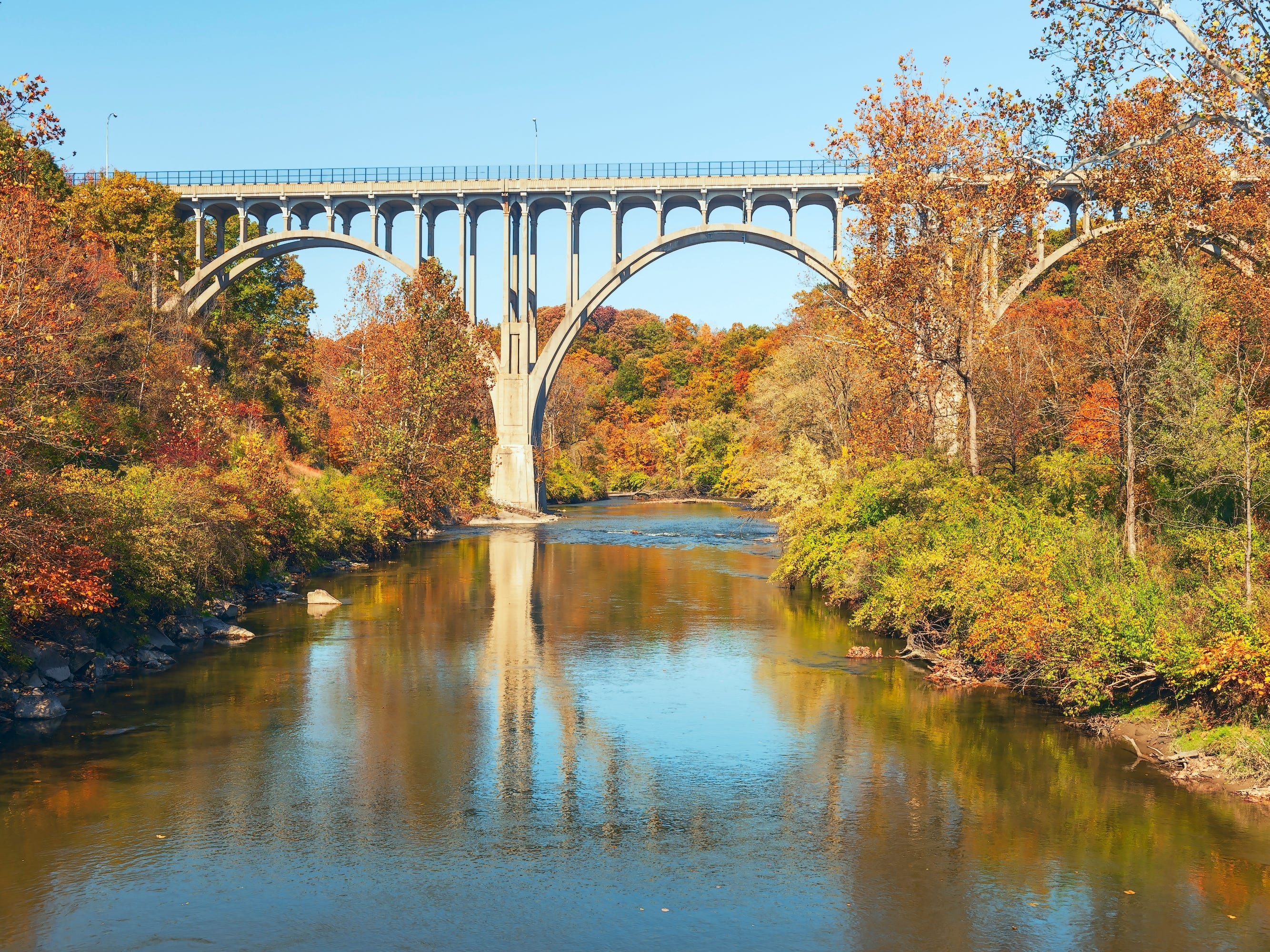 A tall bridge over a river surrounded by trees with autumn-colored leaves.