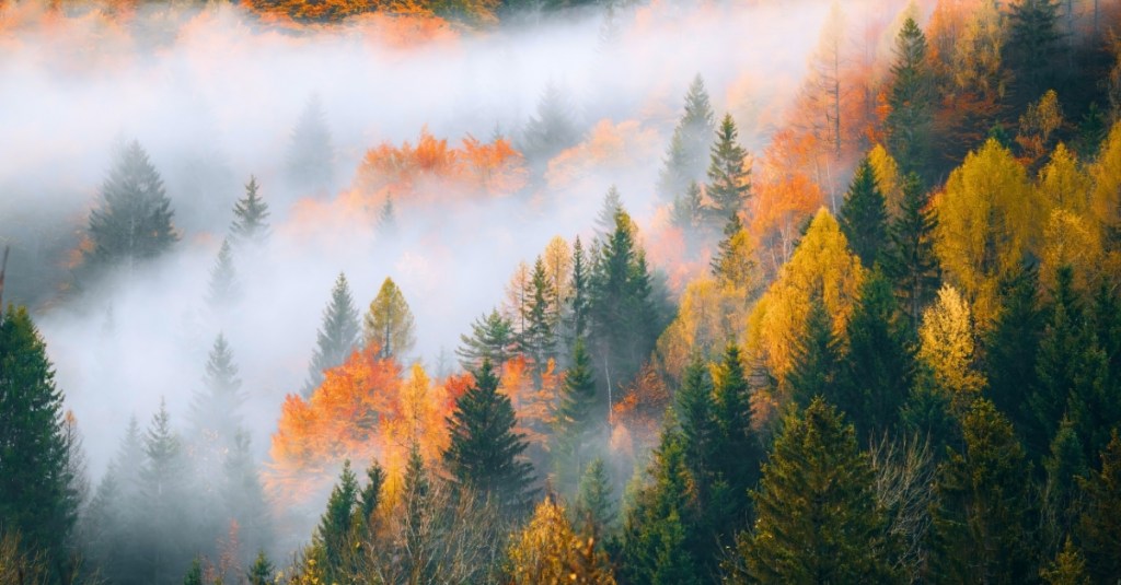 The Fall Equinox Is Coming: Everything to Know About September’s Shift