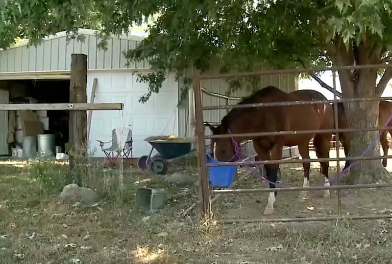 Brown Farm