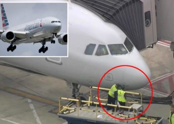 American Airlines flight strikes ‘multiple’ birds en route to San Fran from Philly