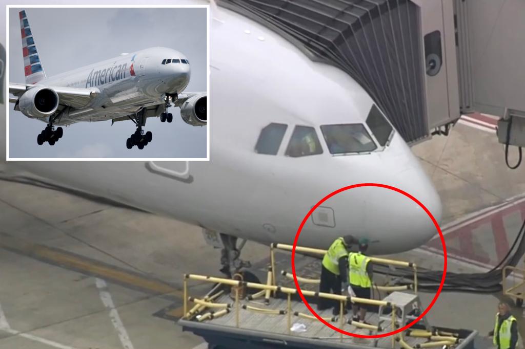 American Airlines flight strikes ‘multiple’ birds en route to San Fran from Philly