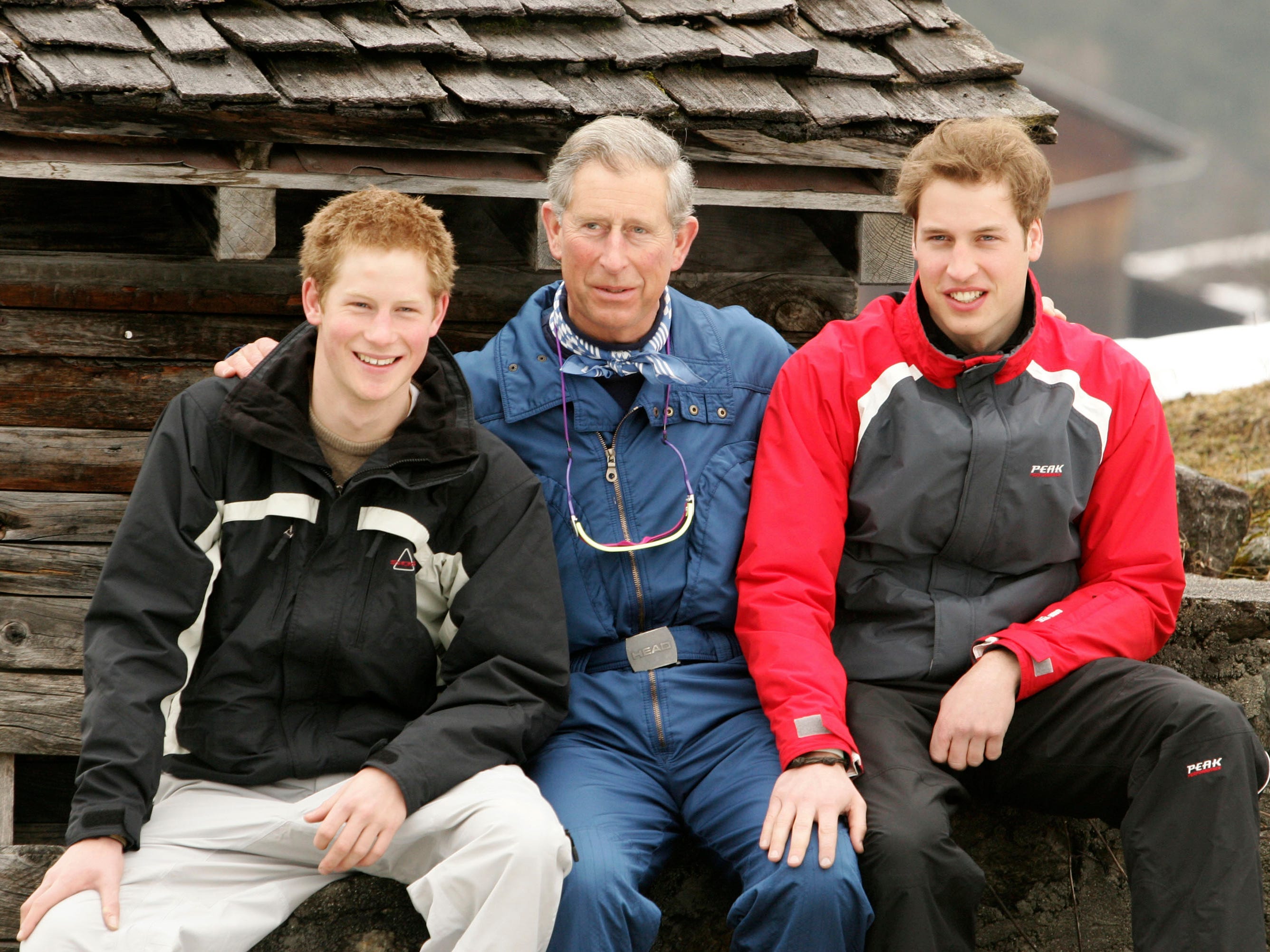 royal portrait prince charles prince harry prince william