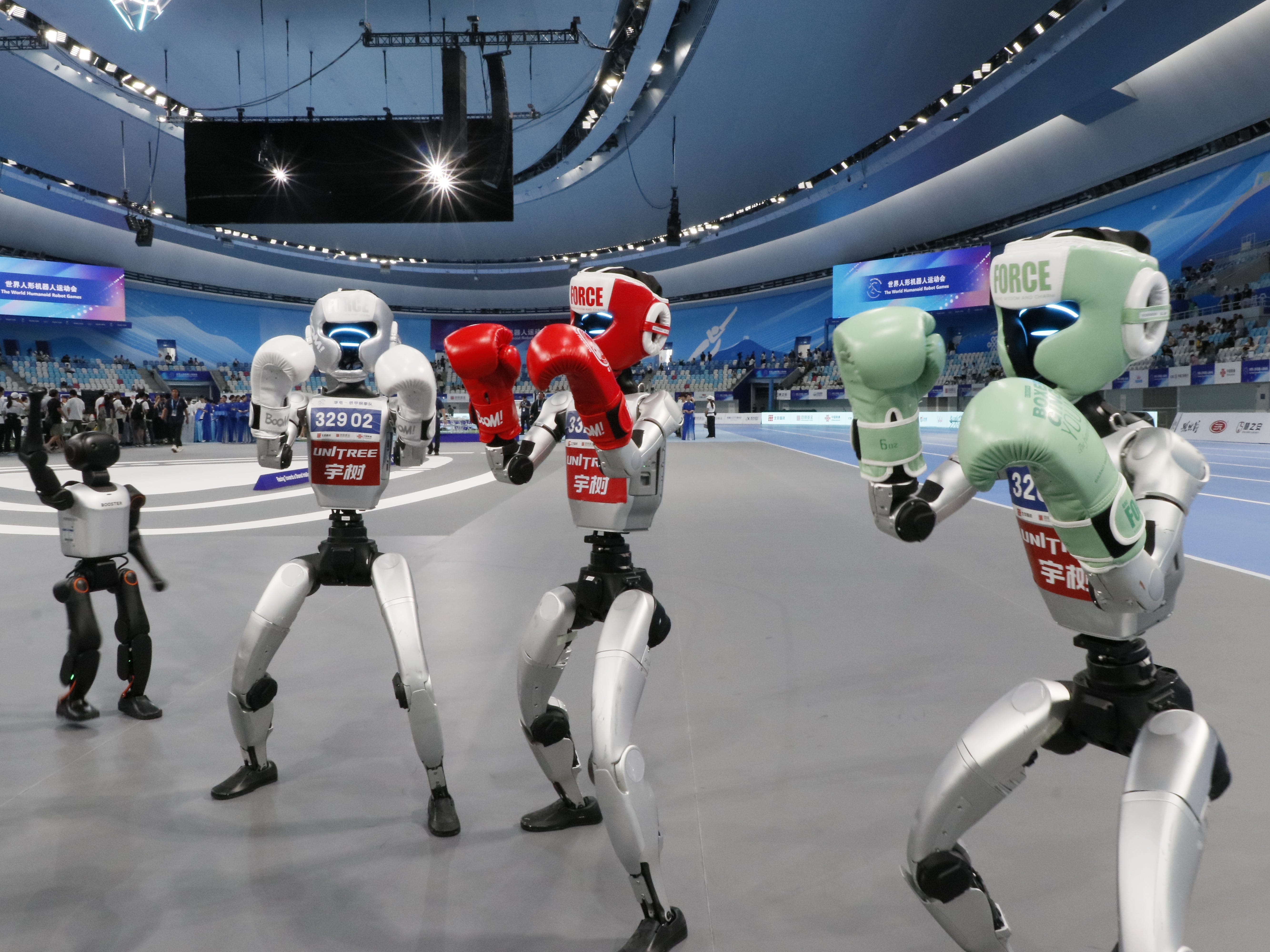 robots fighting gloves