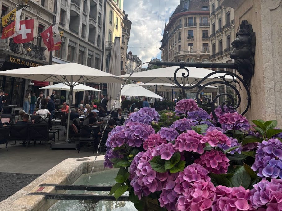 A street view and colorful flowers in Europe.