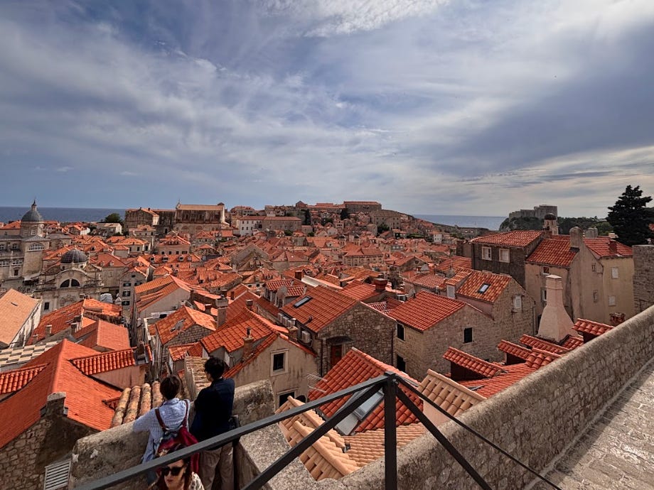 A European skyline and houses with red roofing.