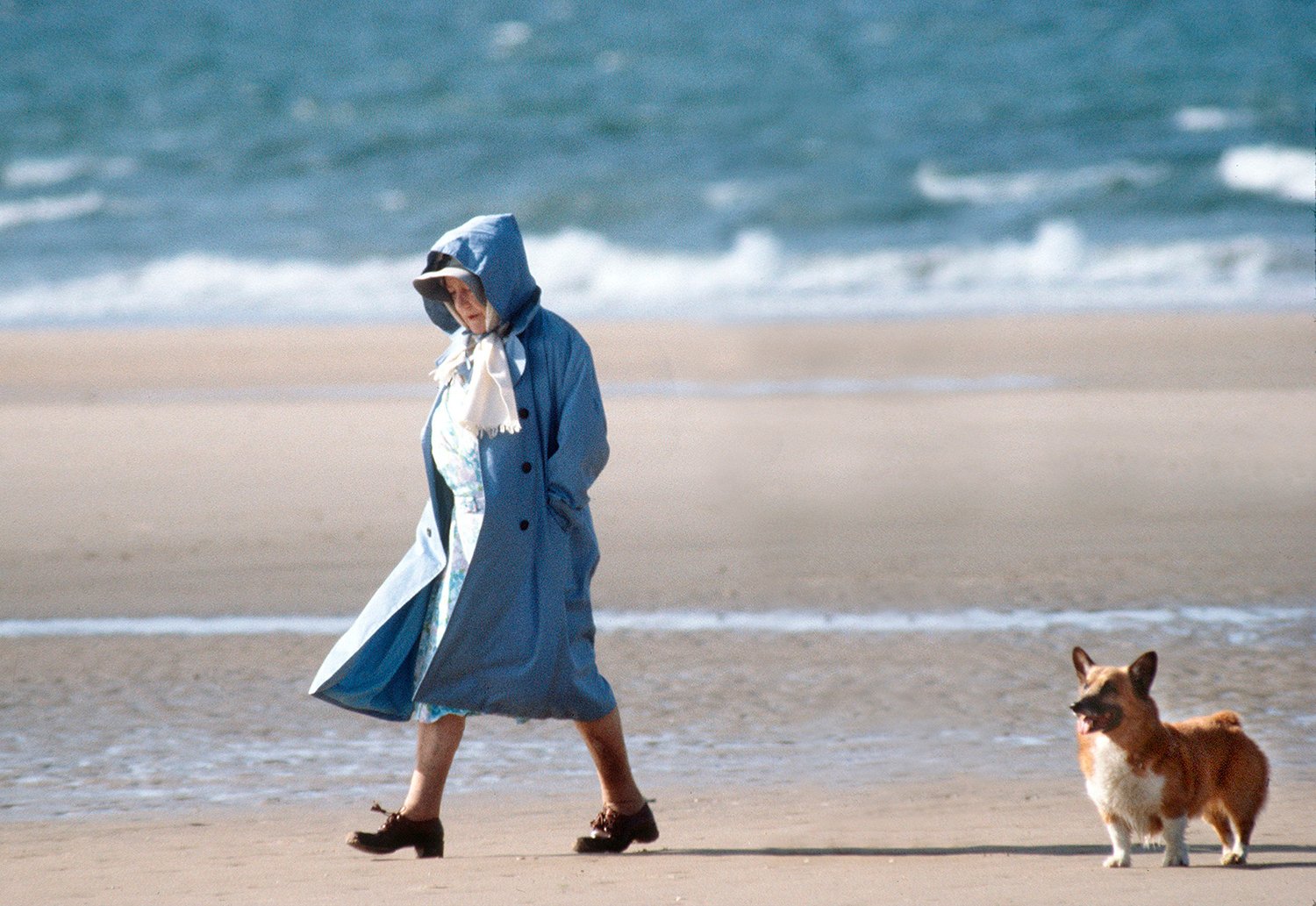 The queen, with the hood of a raincoat up, walks across a beach with a corgi trailing behind and the ocean behind her.