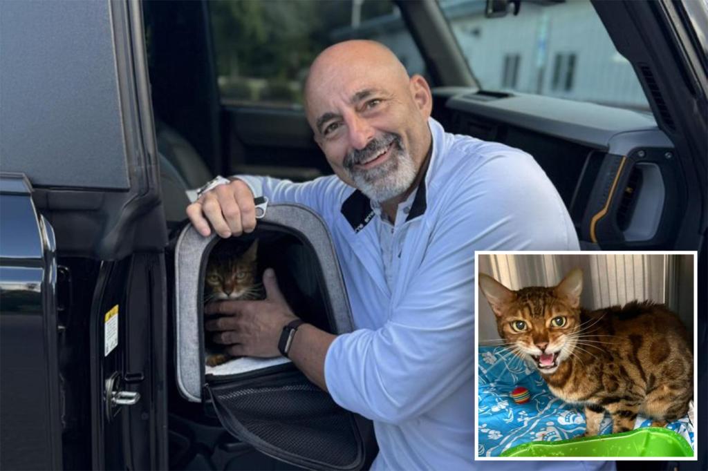 Florida family finds missing cat— 900 miles away in North Carolina