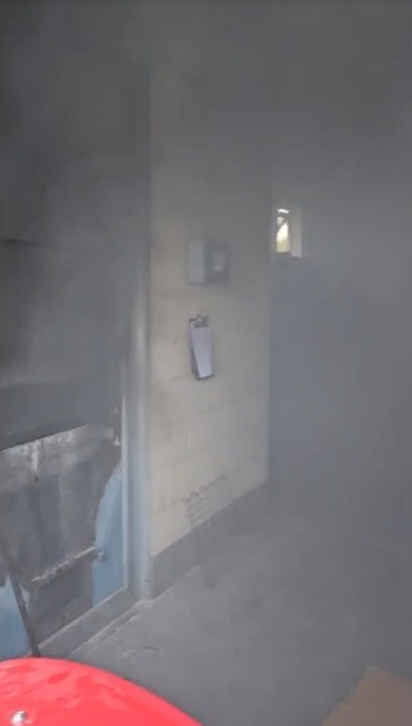 Shelter director Triniti Halverson said smoke poured in within minutes of the crematorium fire.