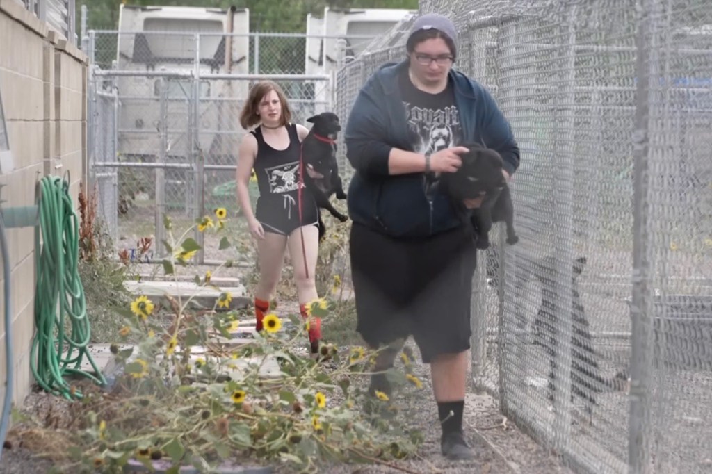 Staff scrambled to evacuate 50 to 70 animals from the contaminated shelter.