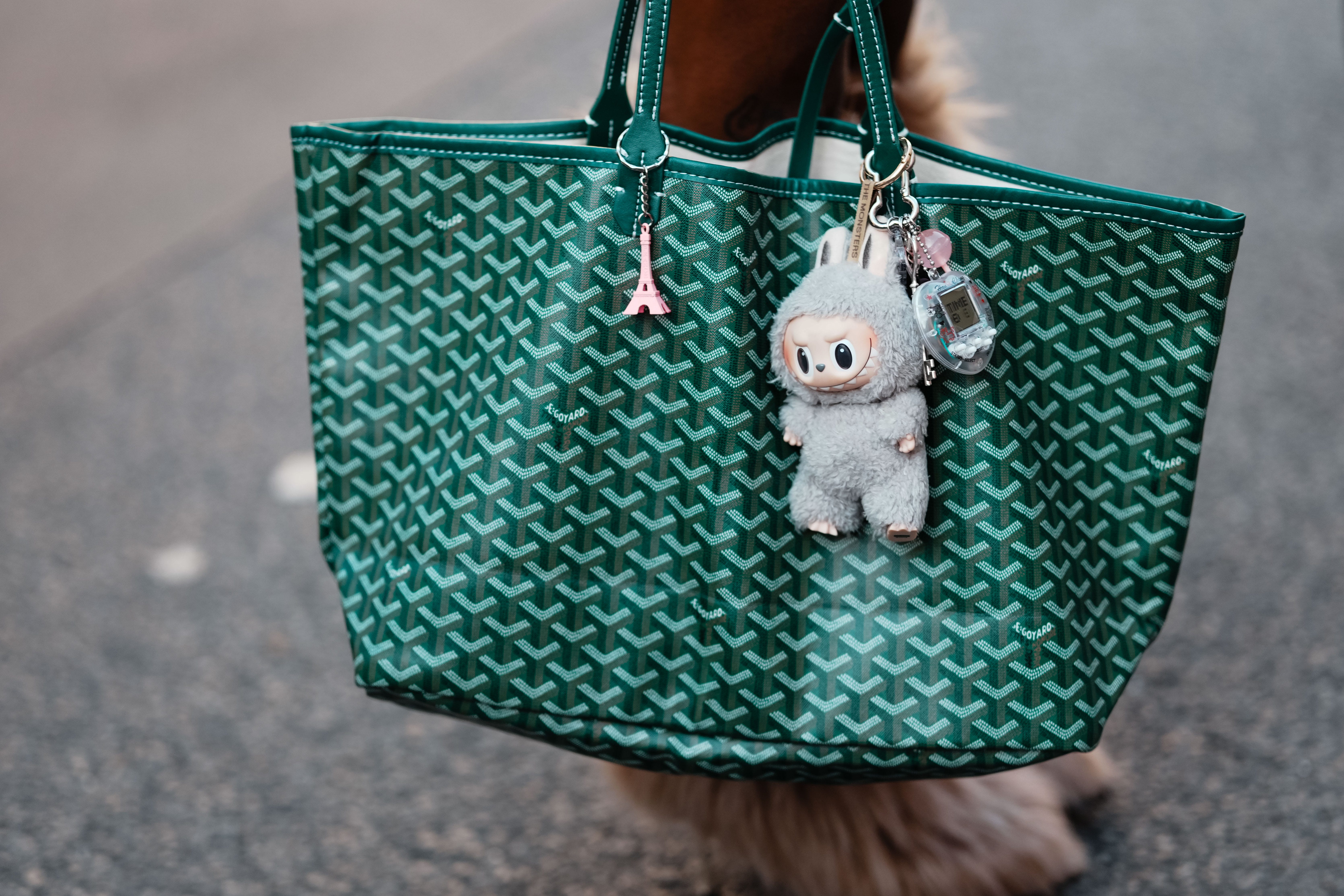 Saint Louis Goyard