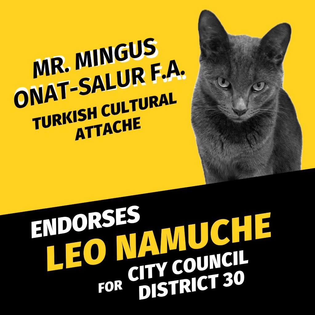 Illustration of a cat endorsing a city council candidate.