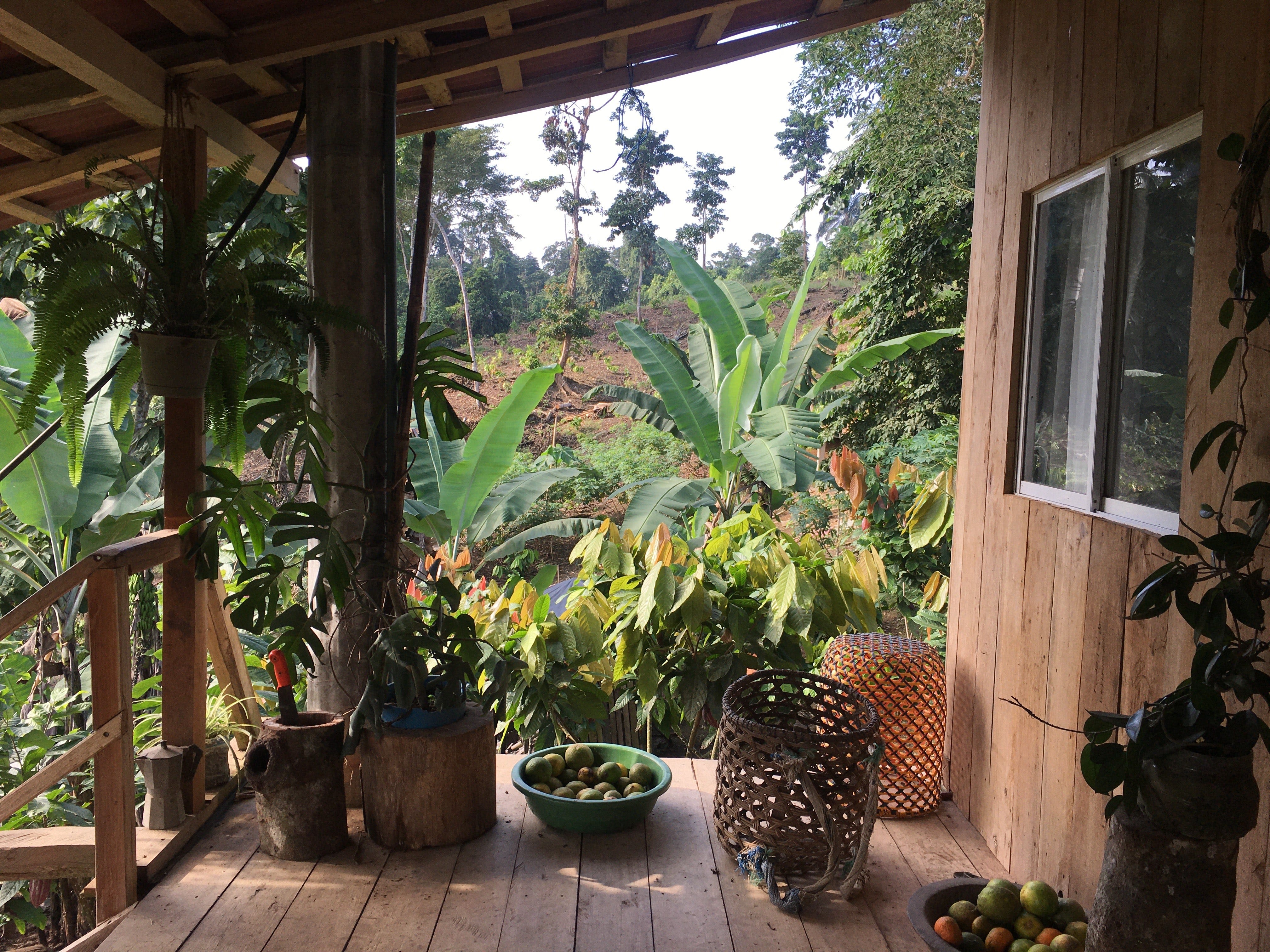 The deck on a farmhouse in Esmeraldas, Ecuador