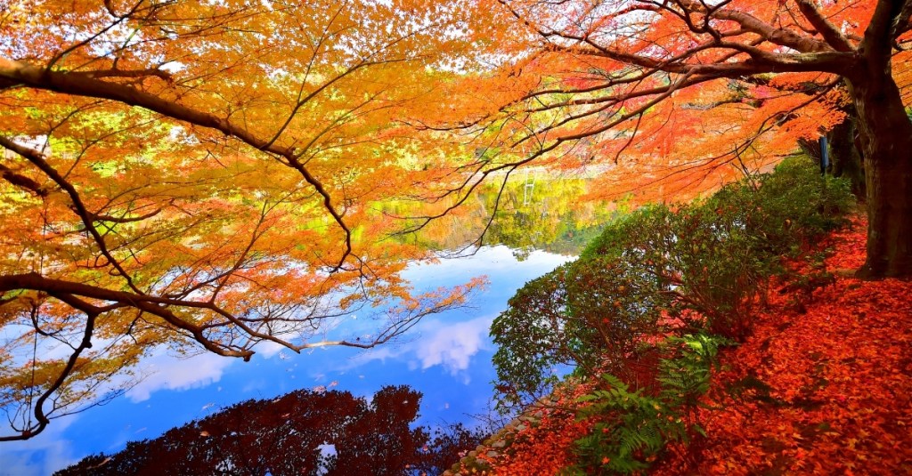 What Is the Autumn Equinox?