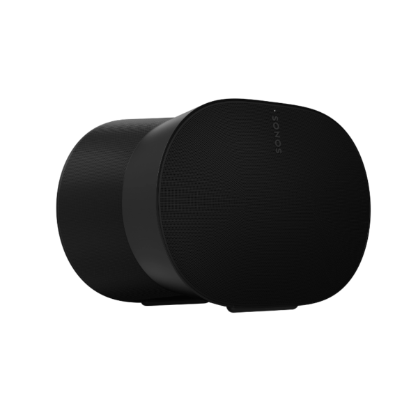 Era 300 Smart Speaker