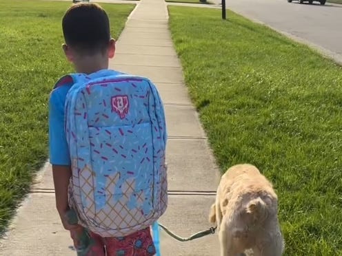 Boy walking dog