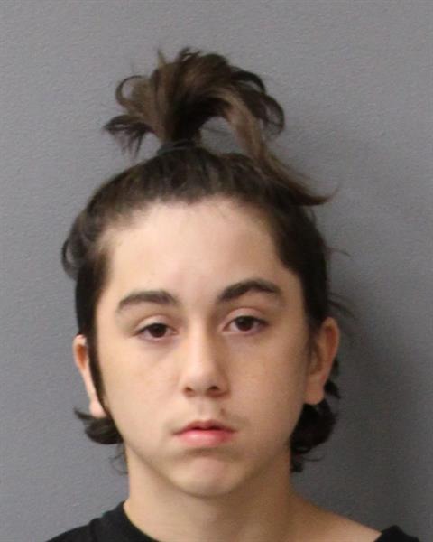 Mugshot of Felix Cohen Romero.