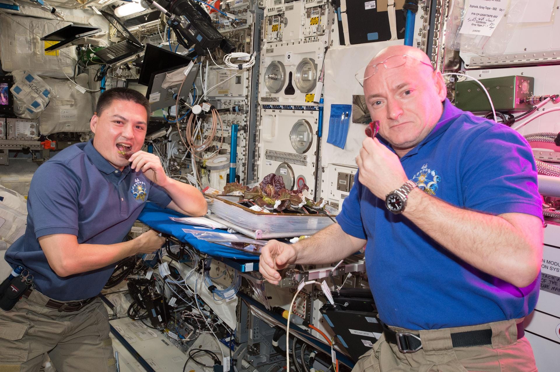 Astronauts hold up plants on the ISS
