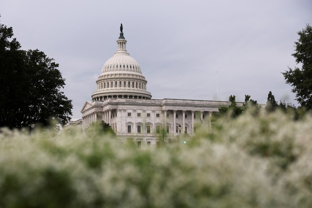 The U.S. Capitol Building dome, partially obscured by vegetation.