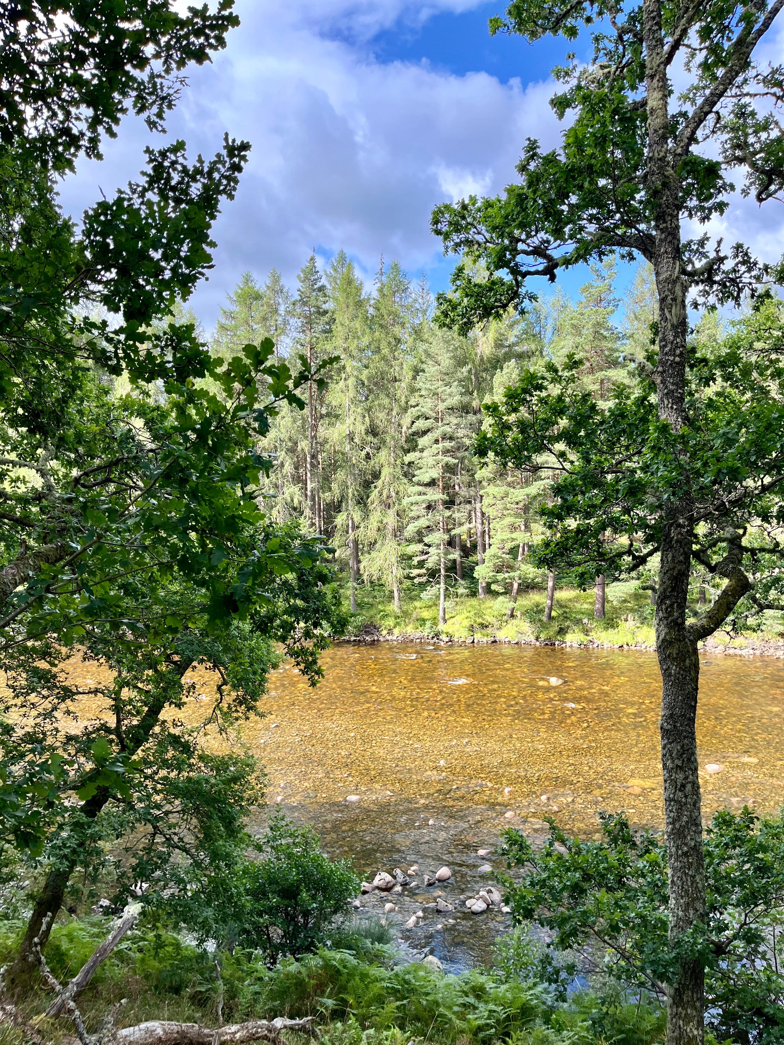 The River Dee in Ballater.