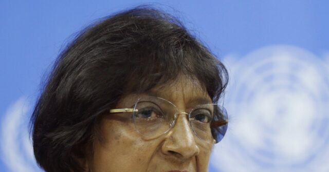 Another South African Accuses Israel of ‘Genocide’ at United Nations