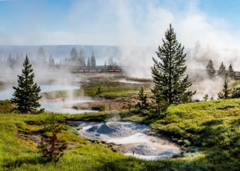 Yellowstone’s Hot Springs Are Under Attack—by Hats