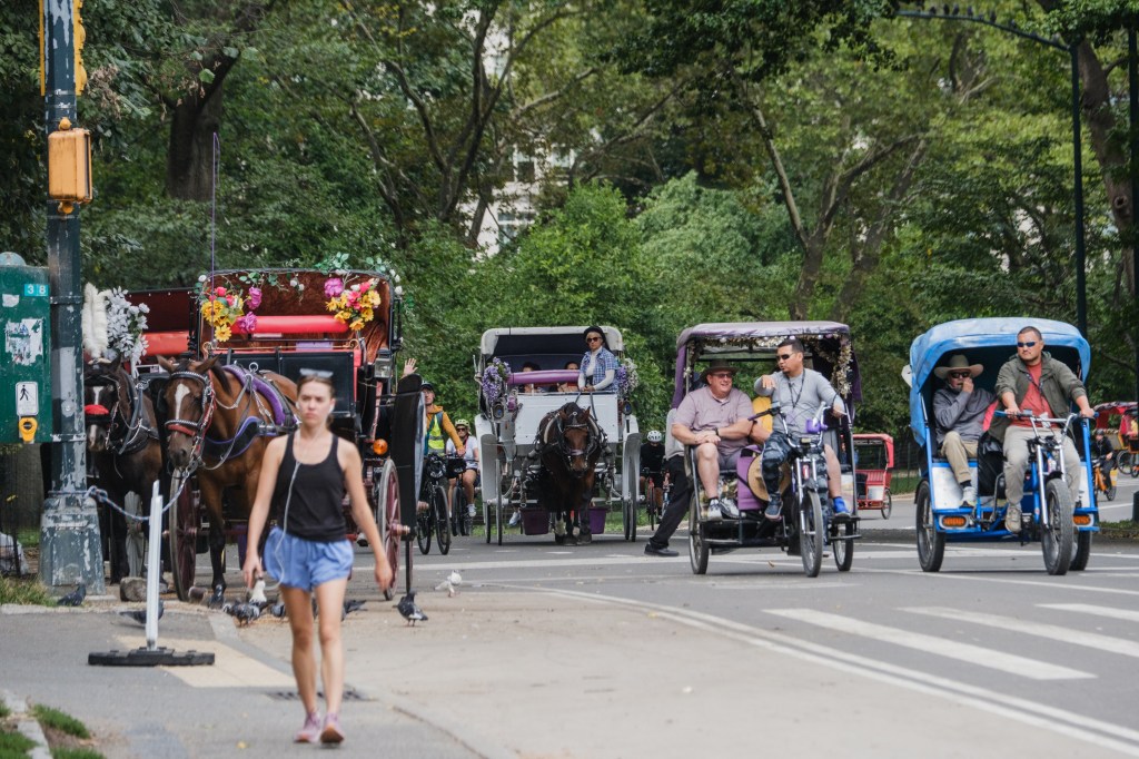 Horse-drawn carriages and pedicabs on a roadway in Central Park.