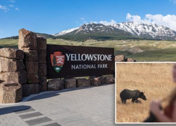 Hiker attacked by bear during ‘surprise encounter’ in Yellowstone National Park