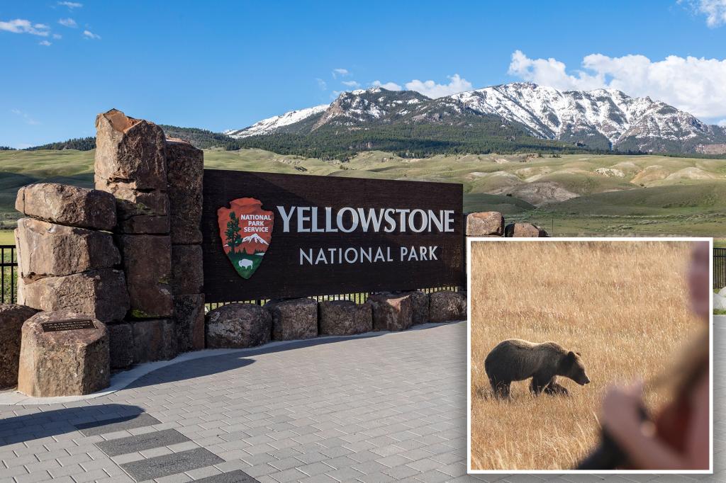 Hiker attacked by bear during ‘surprise encounter’ in Yellowstone National Park