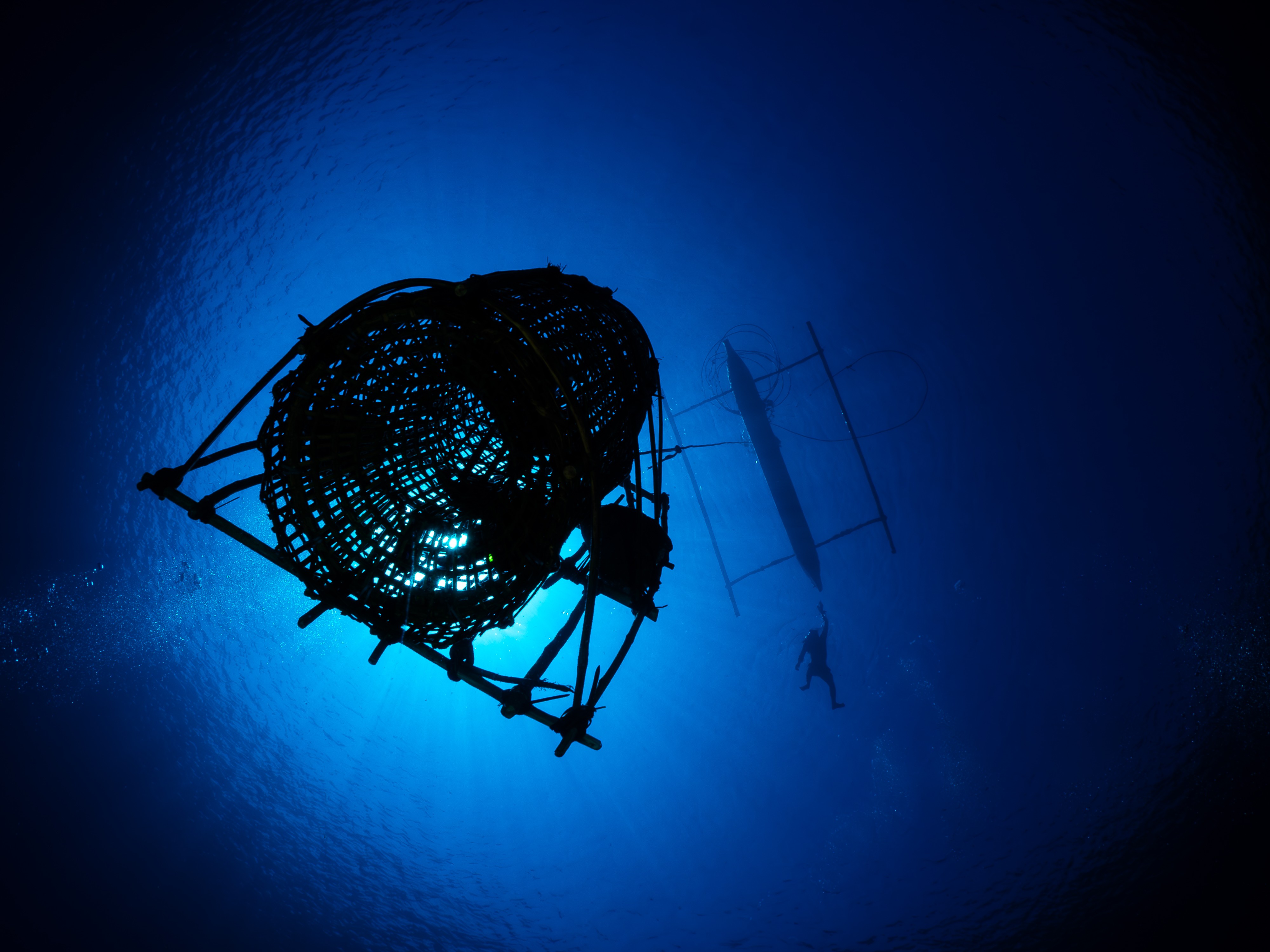 A view from underwater, looking up past fishing equipment, toward a person swimming next to an outrigger