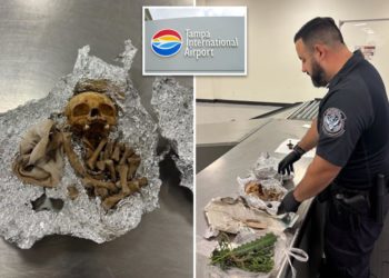 Suspected human remains used for ‘rituals’ found in traveler’s luggage at Florida airport