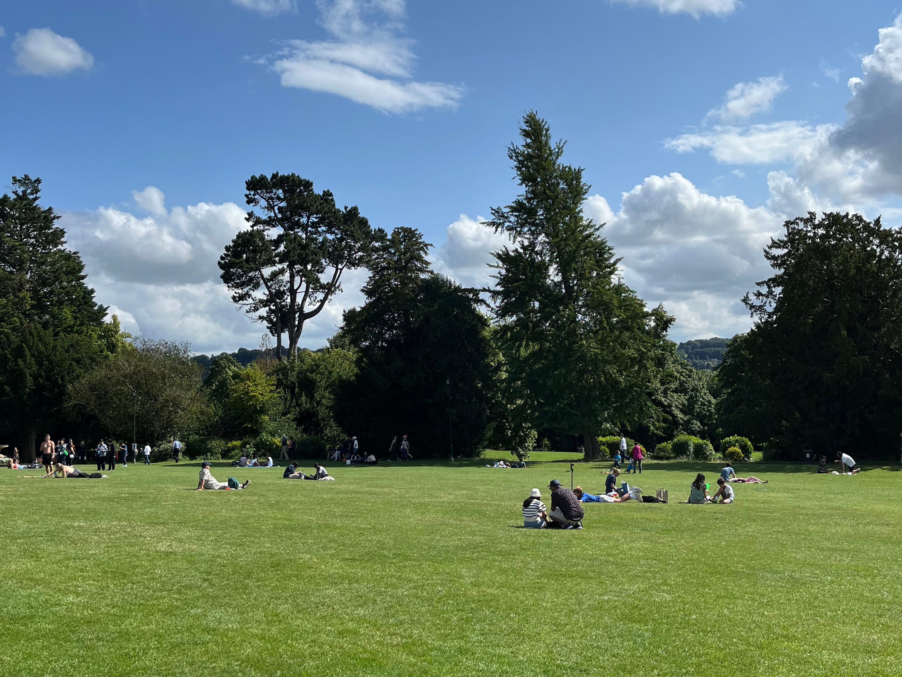 A wide shot of people relaxing in a park.