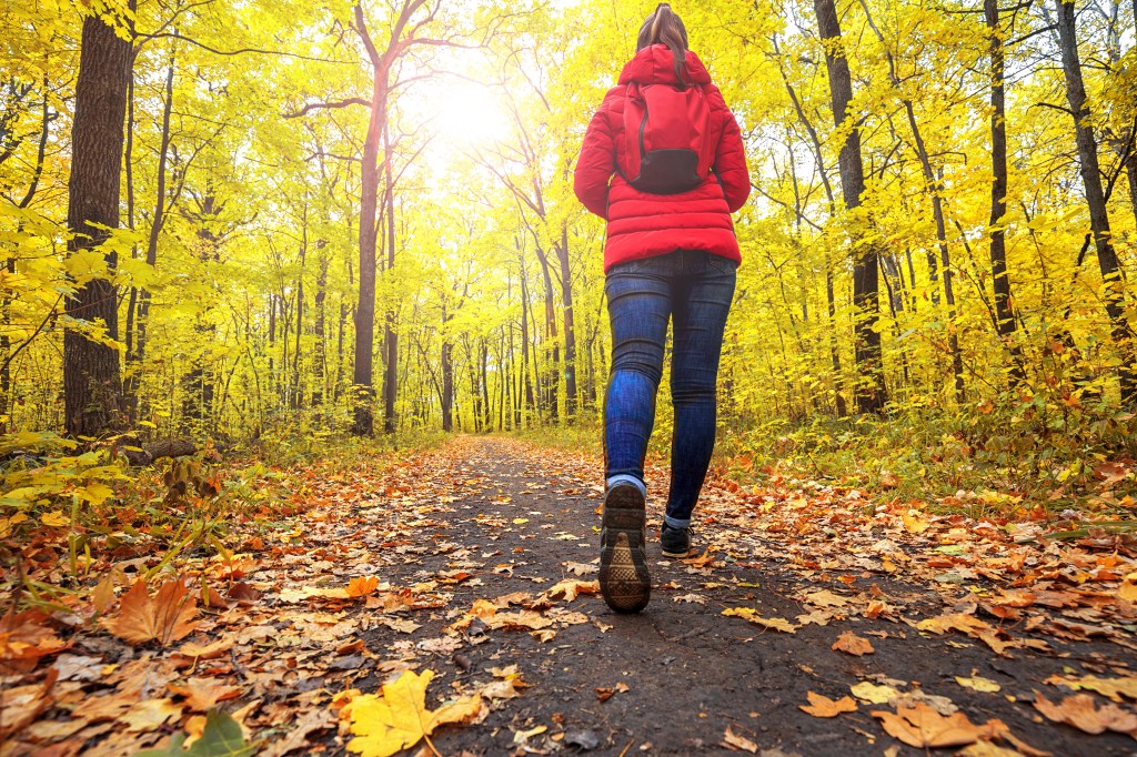 Person walking on a leaf-covered path in a forest.