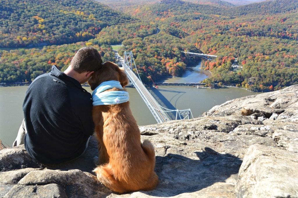 Man and dog admiring Hudson River Valley view from a mountaintop.