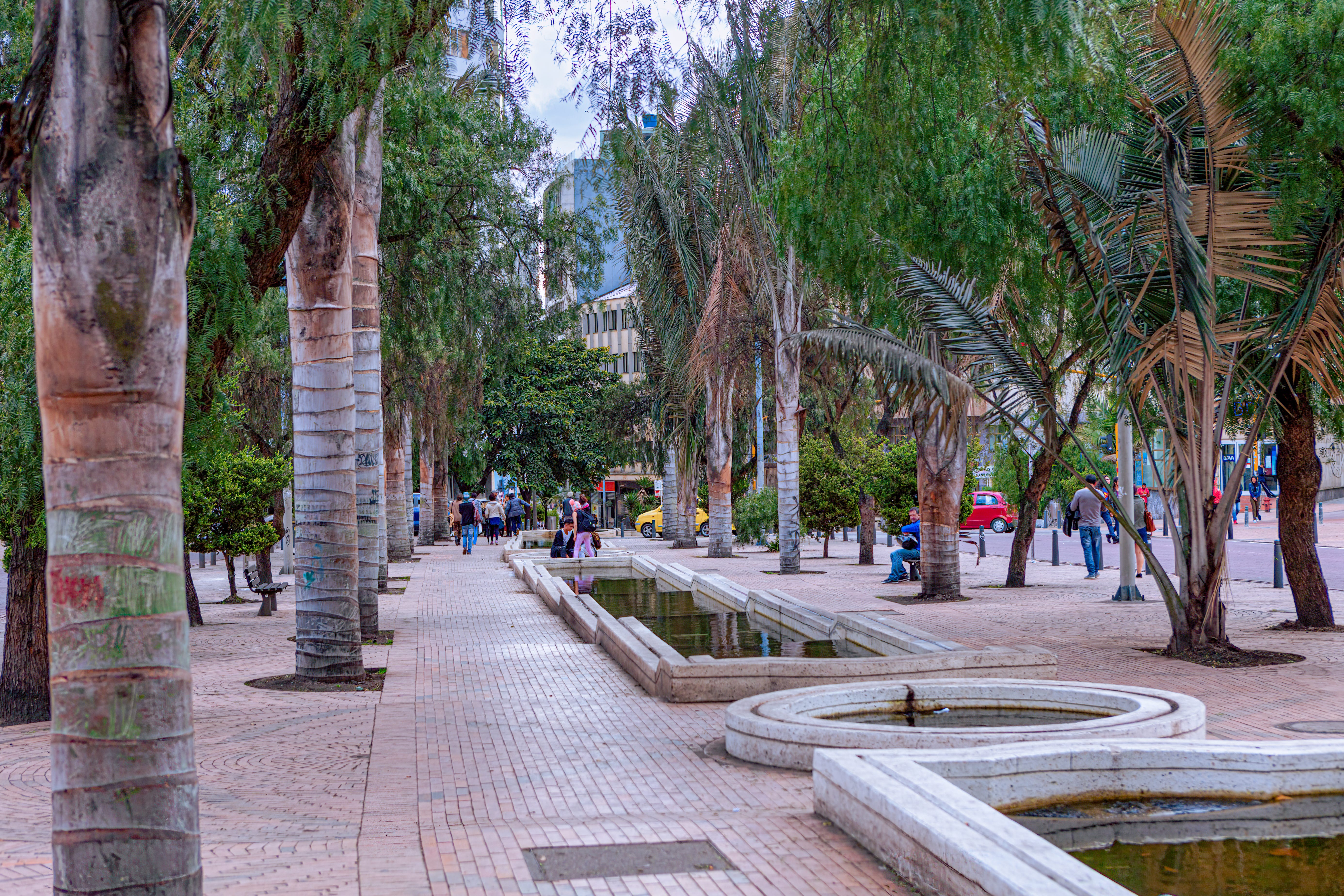 Walking path in Bogotá, Colombia, lined with trees.