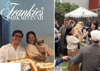NYC couple host bark-mitzvah for 13-year-old pug: ‘She’s just the sweetest’