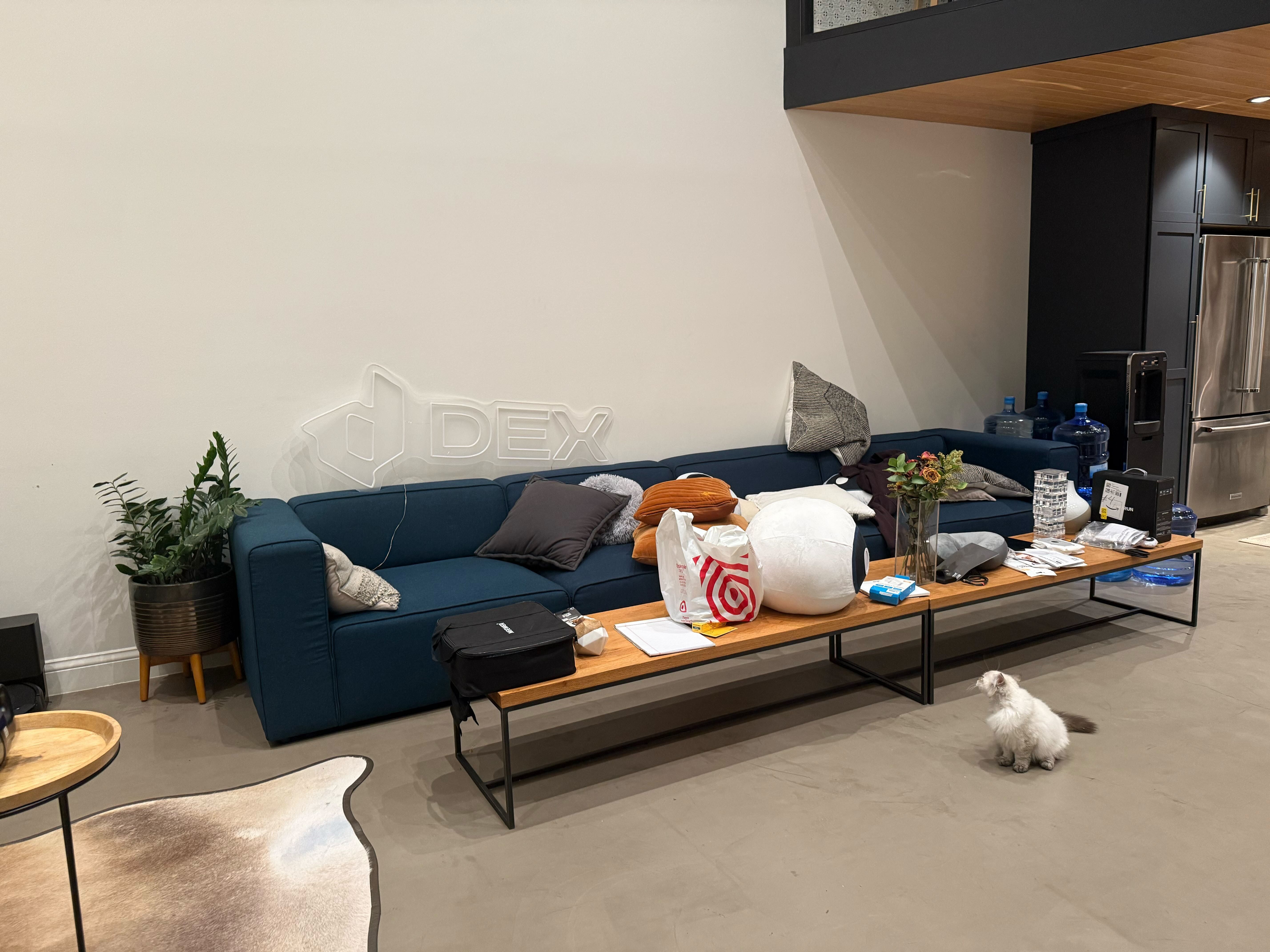 The ThirdLayer couch is pictured with the company's cat, Tobi.